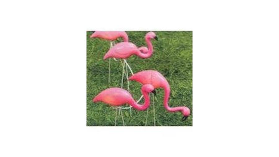 3.5in x 3in 10 Piece Flamingo Lights Stakes{party 