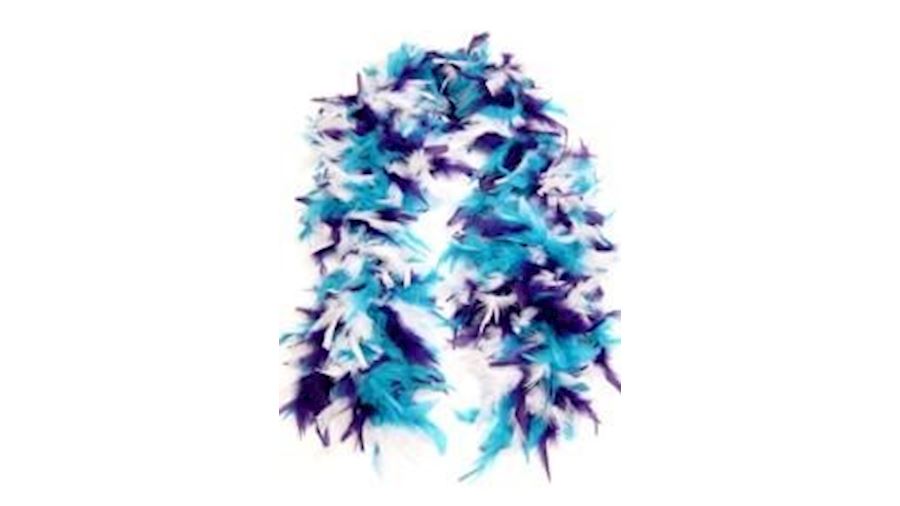 Rainbow Section Feather Boas