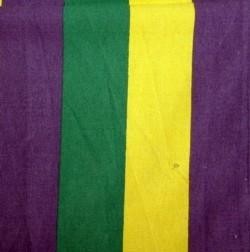 19.5in x 24in Purple/ Green/ Yellow Light Canvas Bag