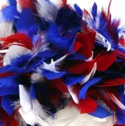 Red/White/Blue Feather Boa Hat