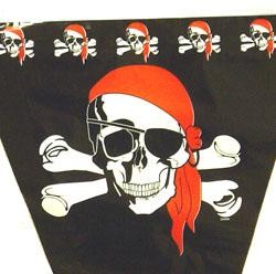 100ft x 17in Pirate Pennant 