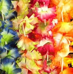 36in Assorted Color Jumbo Carnation Lei