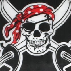 11 1/2in x 18in Skull and Sword Polyester Pirate Flags On A Stick 
