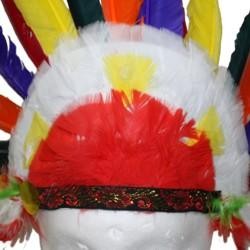 23in Wide x 12in Tall Deluxe Feathered Indian Headdress