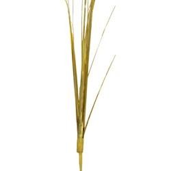 Gold Onion Grass
