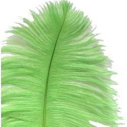 15in Ostrich Apple Green Feather/ Plume 
