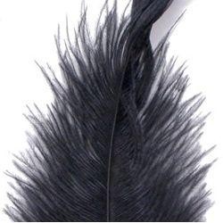 15in Ostrich Black Feather/ Plume 