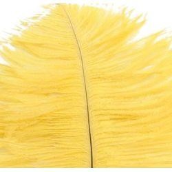 15in Ostrich Yellow Feather/ Plume 