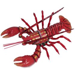 4in Wide x 2in Tall Bobbling/ Dancing Crawfish Magnet