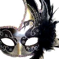 Black and Silver Venetian Masquerade Mask with Black Ostrich Plume, and a Flower