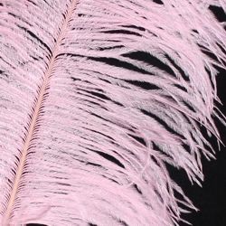 17in Pink Ostrich Plumes/ Feathers
