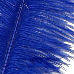 17in Blue Ostrich Plumes/ Feathers