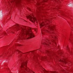 7-8in Wide x 6ft Long Wine Red Feather Boa