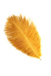 15in Gold/ Yellow Ostrich Feather