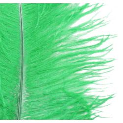 15in Green Ostrich Feather