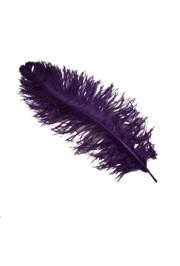 25-26in Long x 11-12in Wide Purple Ostrich Plumes/ Feathers