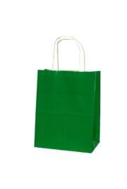 5in x 8in x 4in Green Shopping Bag With Handle 