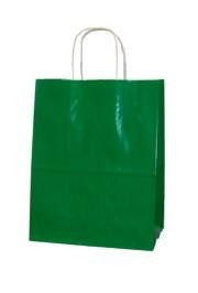 8in x 10in x 5in Green Shopping Bag With Handle 