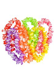 36in Assorted Large Petal Lei