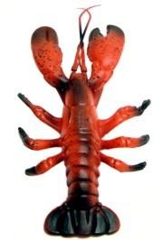 11in x 12in Plastic Lobster