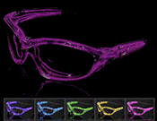 Light Up Assorted Color Glasses/ Sunglasses