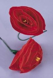 Red Tissue Flower