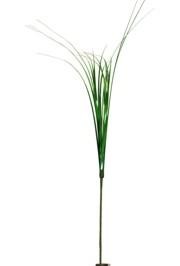 21in Green Onion Grass
