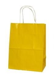 8in x 10in x 5in Yellow Shopping Bag With Handle 