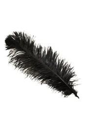 25-26in Black Ostrich Plumes/ Feathers