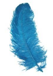 25-26in Long x 11-12in Wide Turquoise Ostrich Plumes/ Feathers