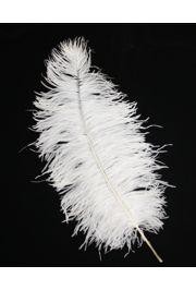 15in Ostrich White Feather/ Plume