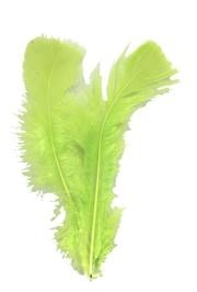 3in-7in Long Apple Green Craft Feathers 