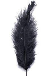 15in Ostrich Black Feather/ Plume 
