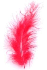 3in-7in Long Red Craft Feathers 