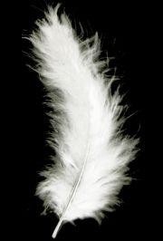 3in-7in Long White Craft Feathers 