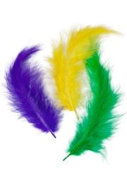 14gr Craft Feathers Mardi Gras Mix 