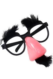 Funny Disguise Nose/ Glasses