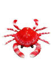 4in Wide x 1in Tall Bobbling/ Dancing Crab Magnet