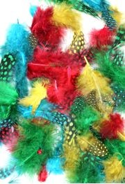 3gr Guinea Assorted Colors Green/ Red/ Turquoise/ Teal Craft Feathers