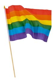 12in x 18in Rainbow Polyester Flag