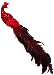 22in Long Red Glittered Peacock/ Feather Tail w/ Clip